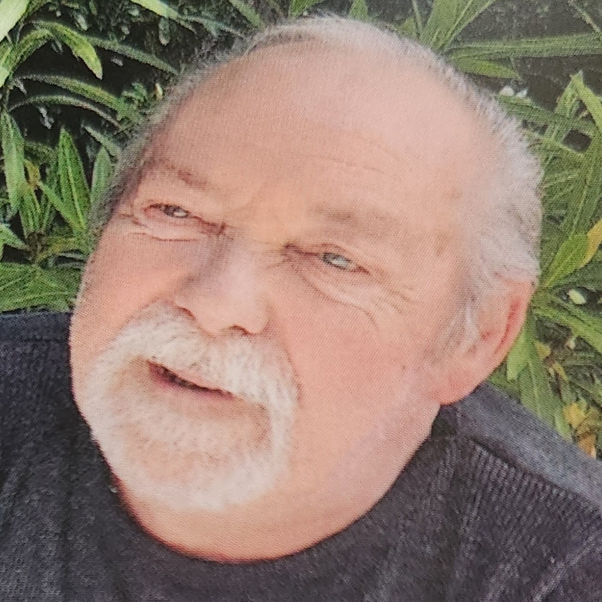 Photo de Marc DELPIERRE